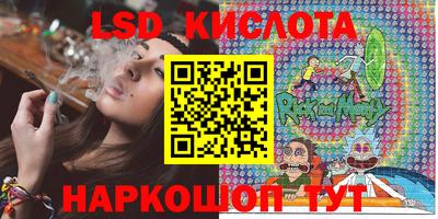 spice Новодвинск