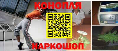 spice Новодвинск