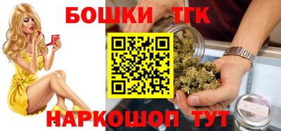 spice Новодвинск