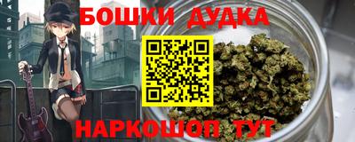 spice Новодвинск