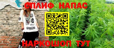 дмт Новокубанск